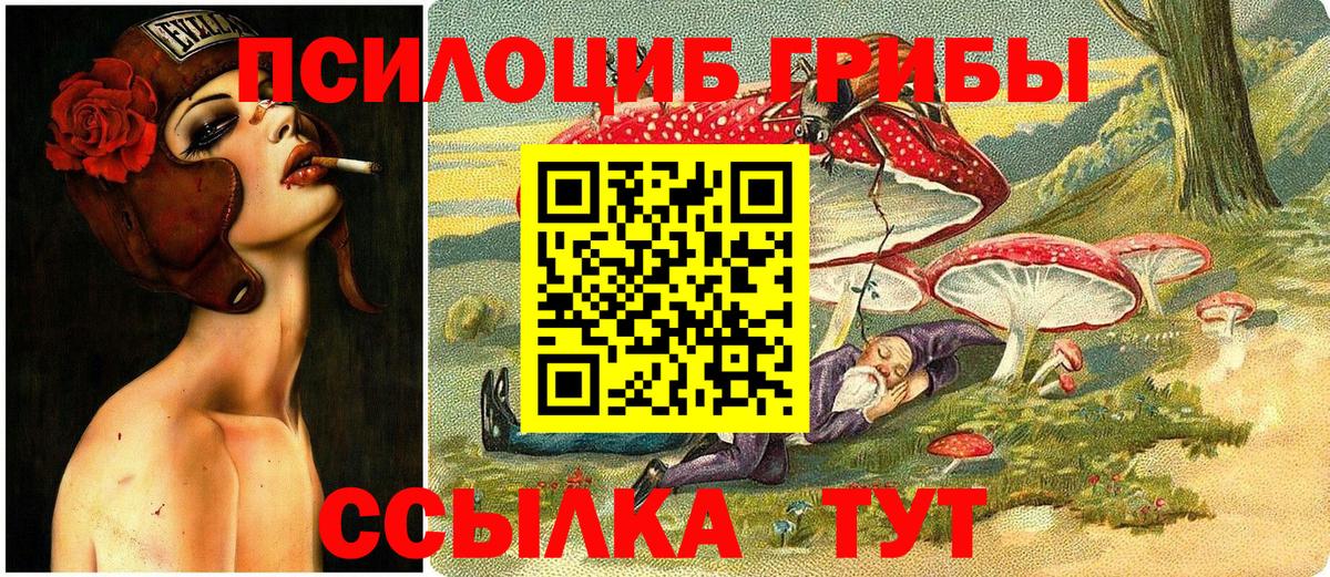 Назрань  Галлюциногенные грибы GOLDEN TEACHER  Вход с VPN 